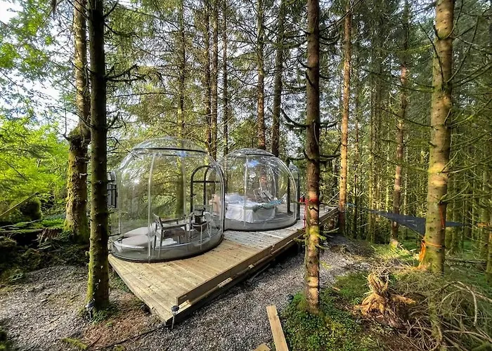 Magical Forest Haven Dome