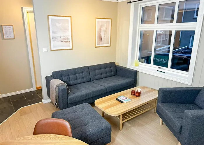Sentral Leilighet Med Parkering Og Peis