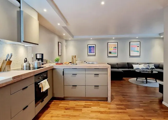 High Standard Spacious Apartment Near Bryggen