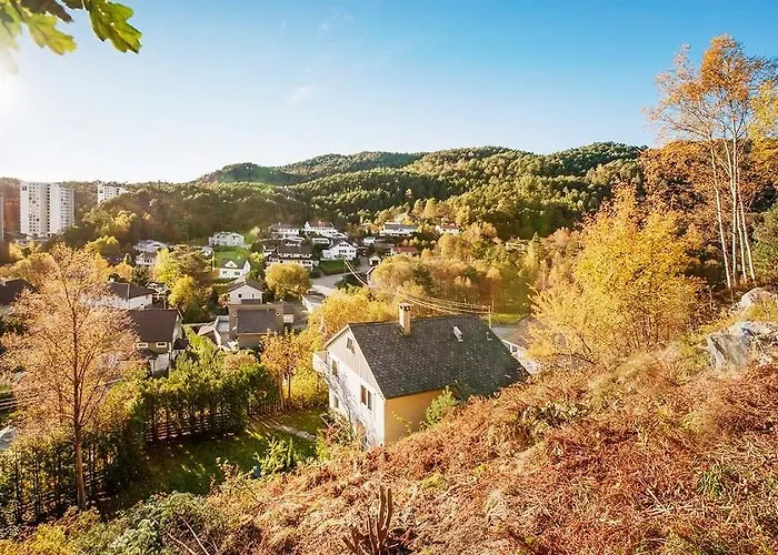 Seljesvingen