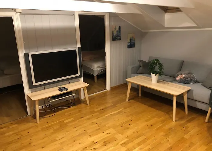 Birkebeiner Apartment