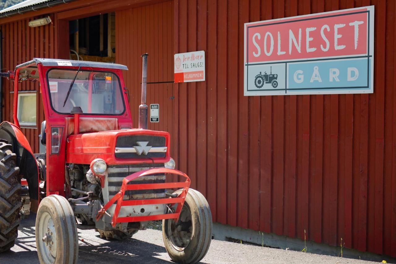 Farm stay Solneset Farm