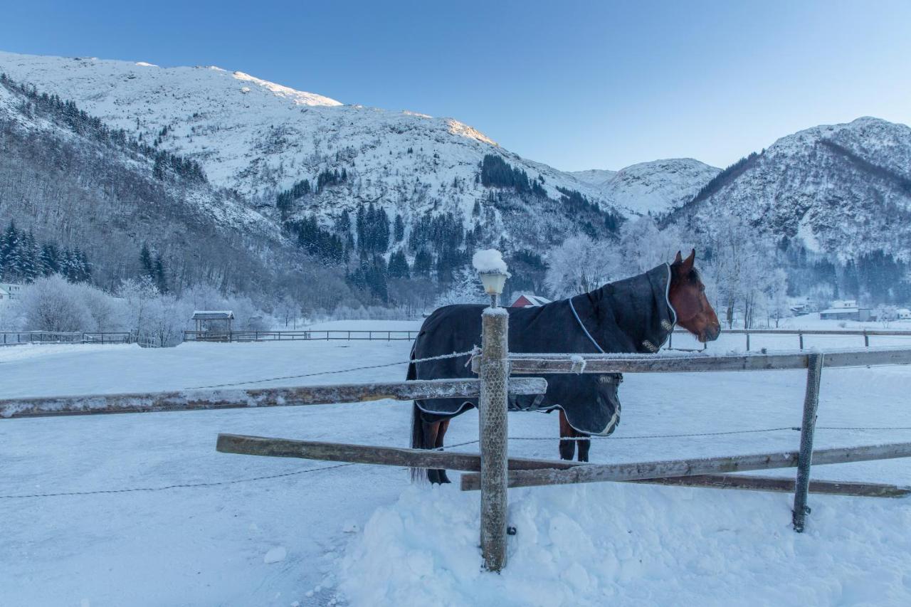 Farm stay Solneset Farm Bergen