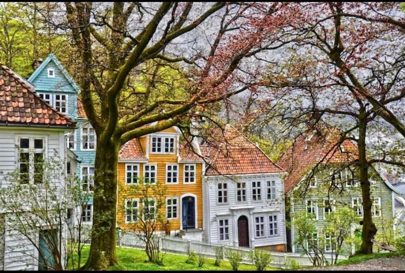 Apartment Lille Ovregate *