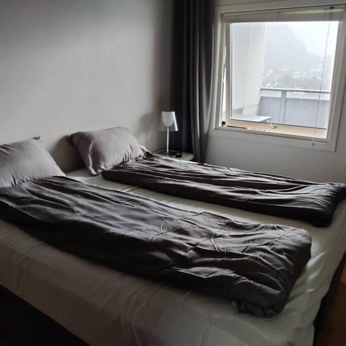 Apartment Nydelig Leilighet, Free Parking Near Sentrum
