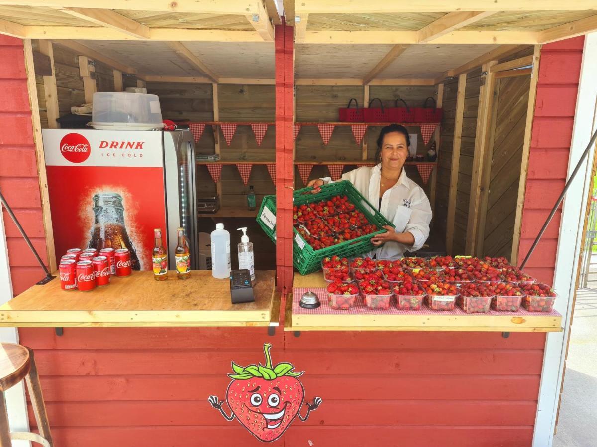 Solneset Farm Farm stay