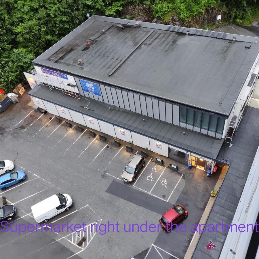 Nydelig Leilighet, Free Parking Near Sentrum