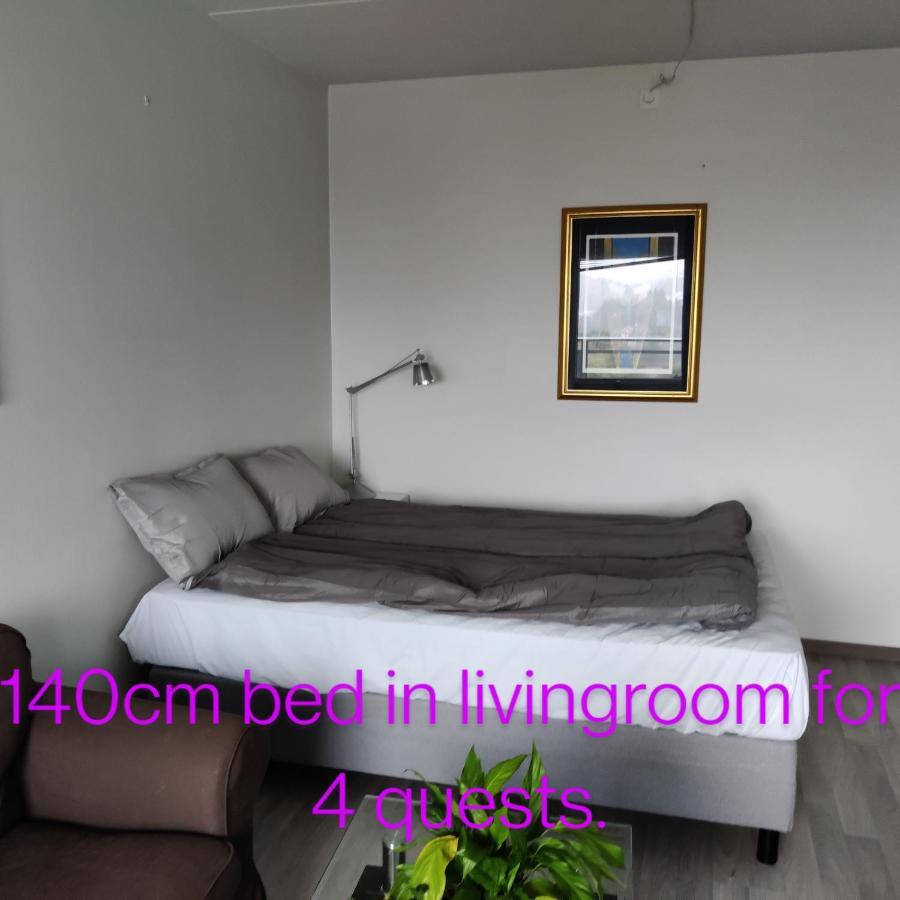 Nydelig Leilighet, Free Parking Near Sentrum Apartment