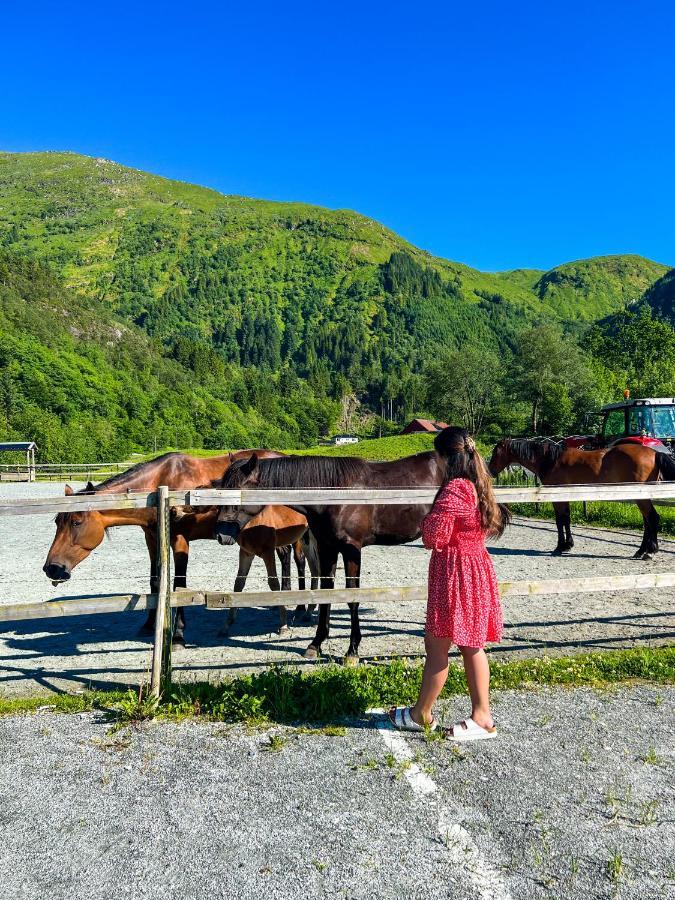 Solneset Farm Farm stay