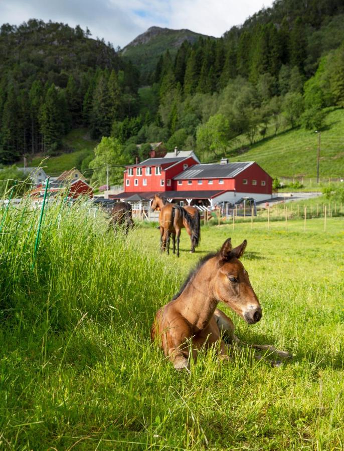 Farm stay Solneset Farm