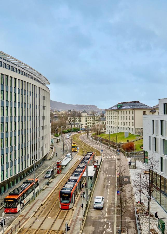Brand New And Luxurious Penthouse In Centre! Apartment