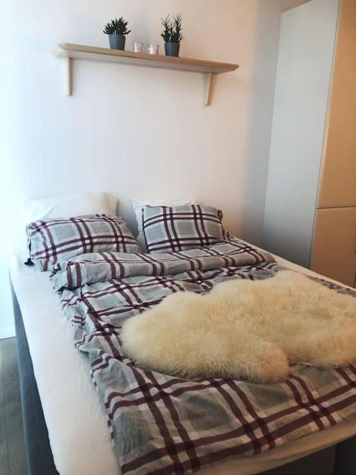 Eksklusiv Leilighet Pa Skjoldnes Apartment