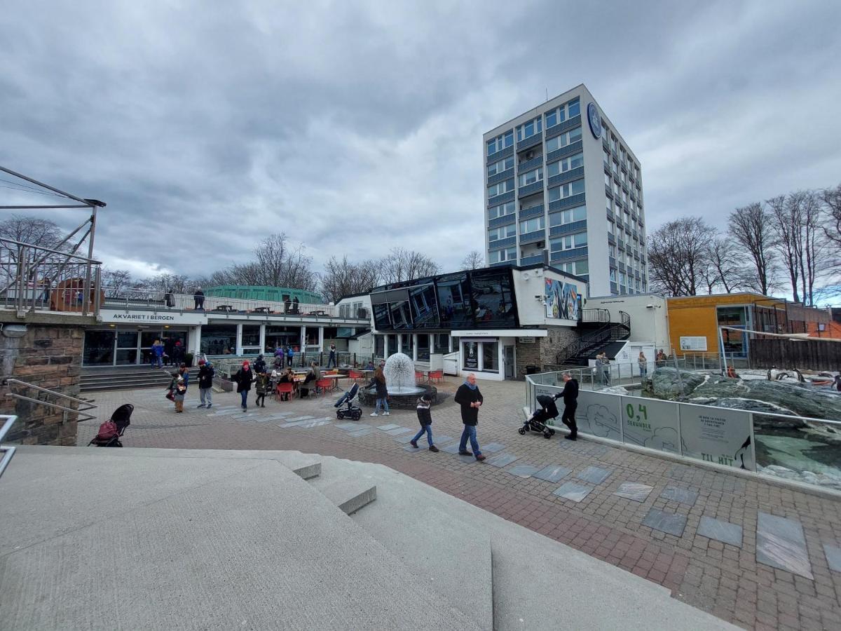 Center * Bergen