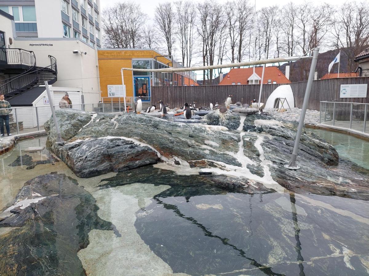 Lägenhet Center Bergen
