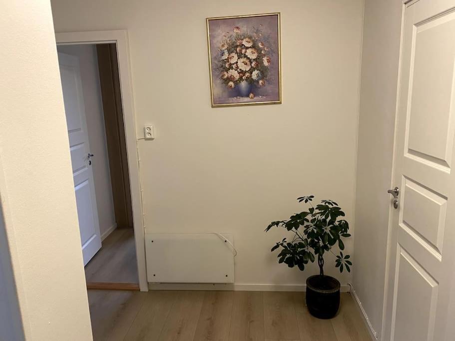 Apartment Lovely 2 Bedroom With Free Parking *