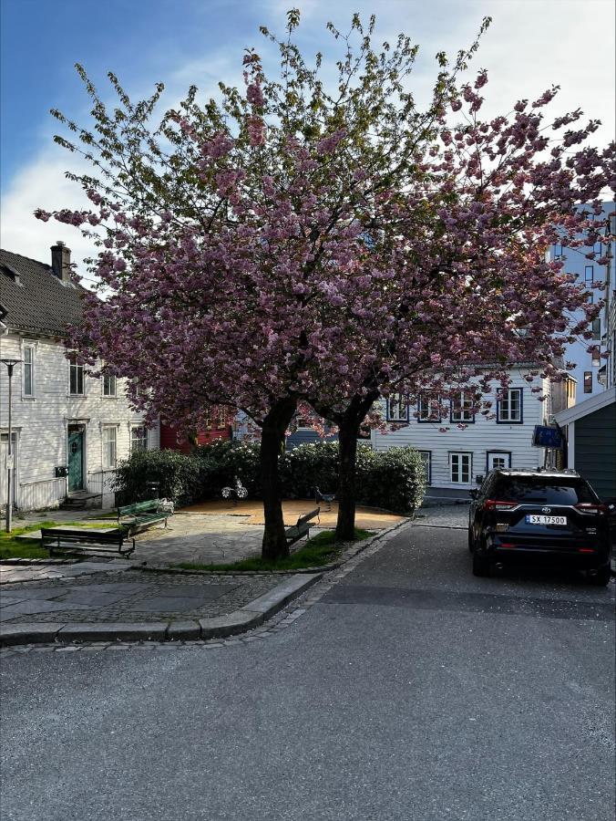 Apartment Ross-smauet - Charming House Constructed In 1880