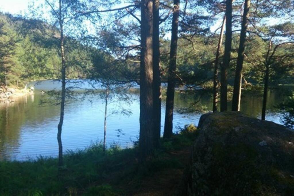Perfect Getaway 7 Min To Centrum Apartment