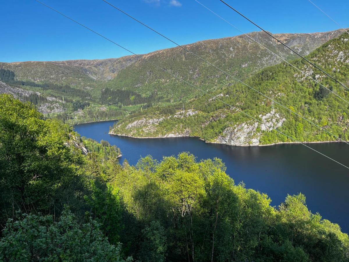 Appartement Cozy And Modern With A Countryside Feeling In Bergen