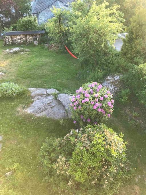 Modern With Free Parking * Bergen