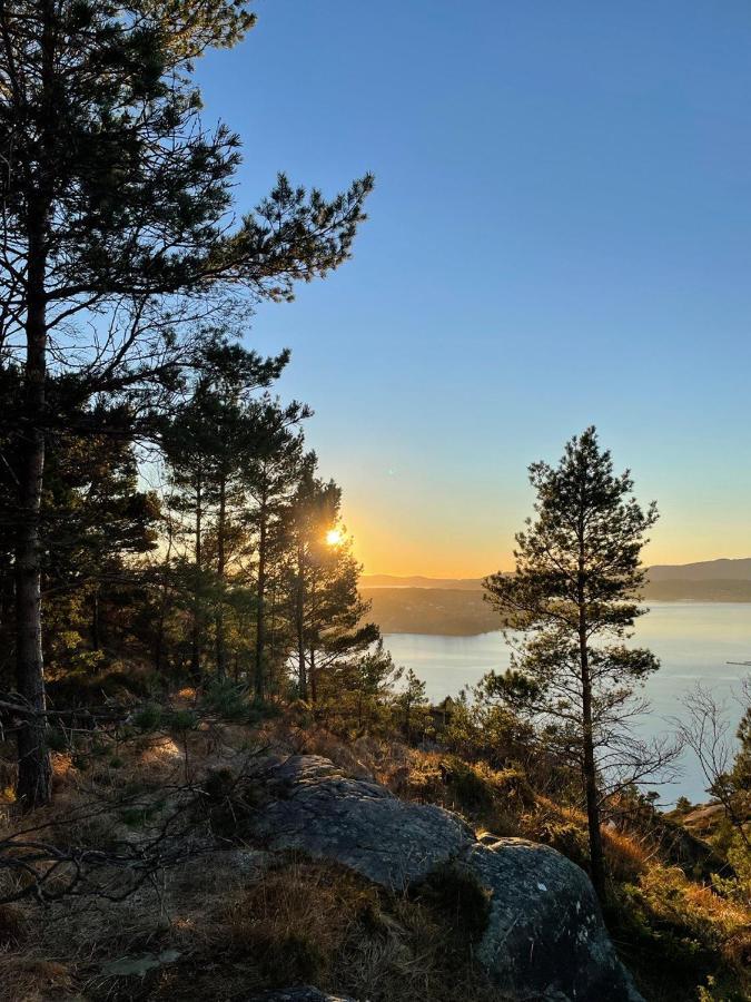 With Sea View! Apartment Bergen