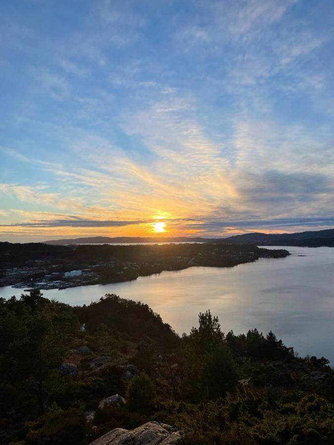 Apartment With Sea View! Bergen