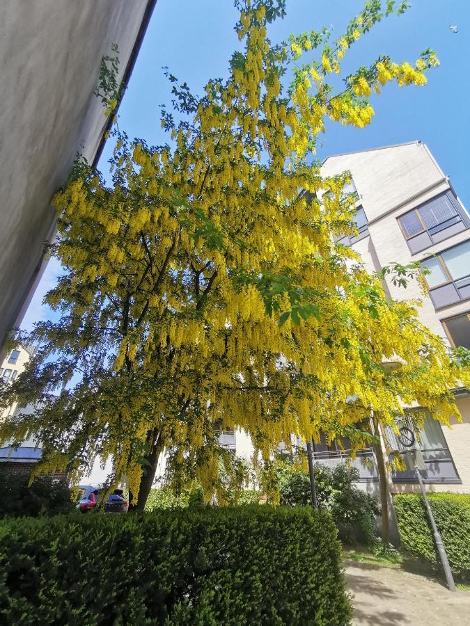 80 Square Metre Flat In The Heart Of - 2 Big Bedrooms * Bergen