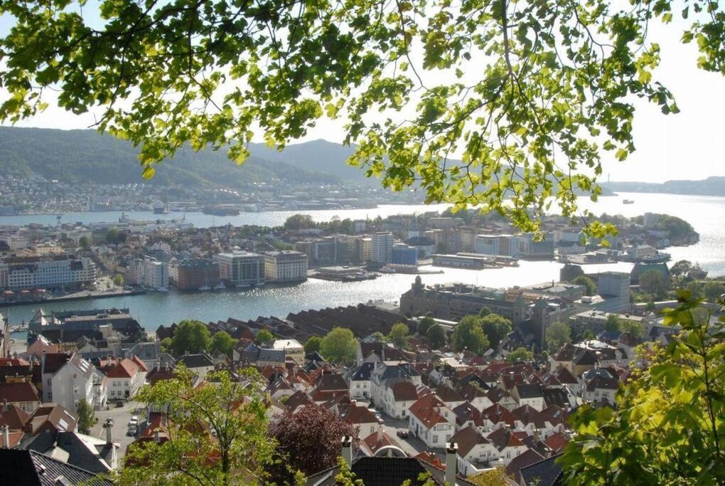 Lägenhet New! Modern City Apt: Central W/ Private Entrence Bergen