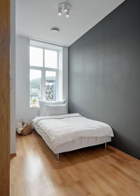Lys & Luksurios Leilighet Midt I Sentrum! Apartment