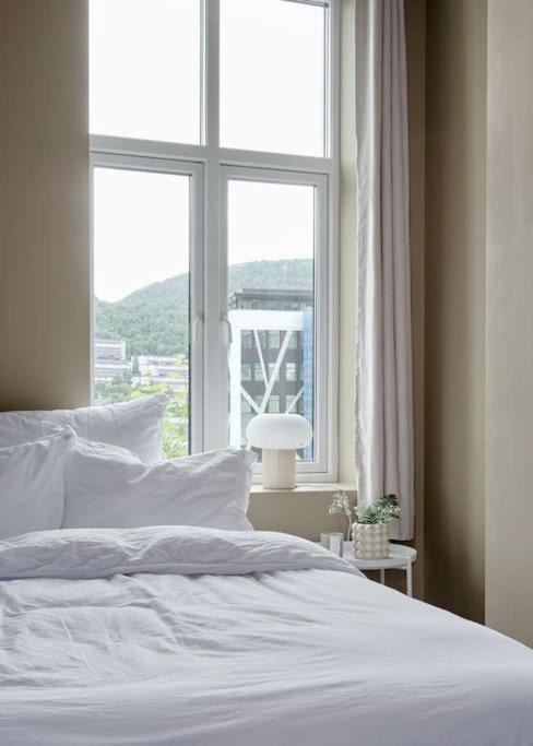 Lys & Luksurios Leilighet Midt I Sentrum! Apartment *