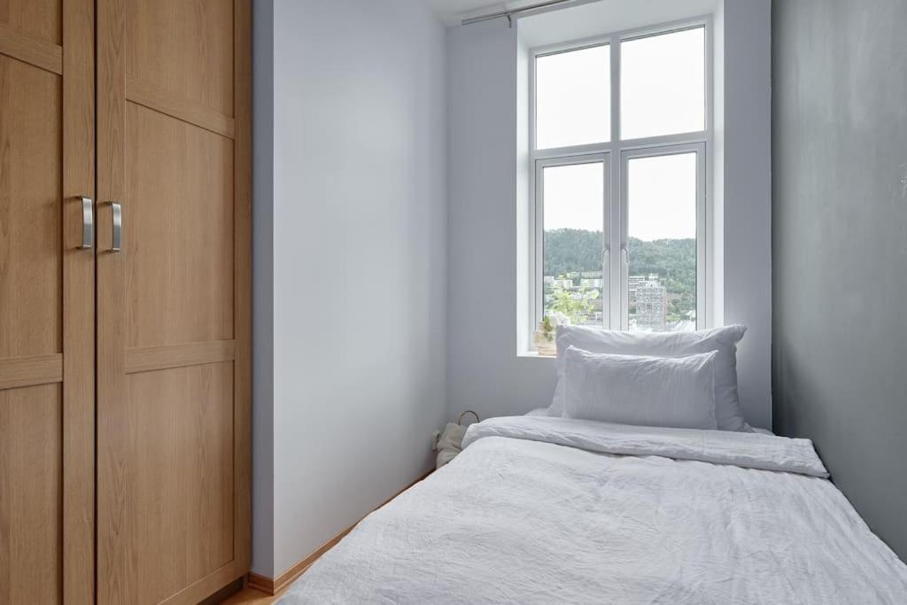 Lys & Luksurios Leilighet Midt I Sentrum! Bergen