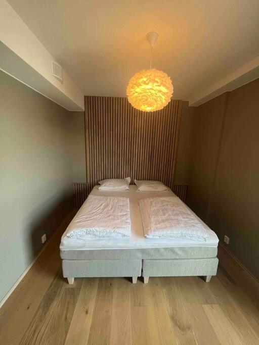 Apartment Sentrums-naer Med Sjoutsikt *