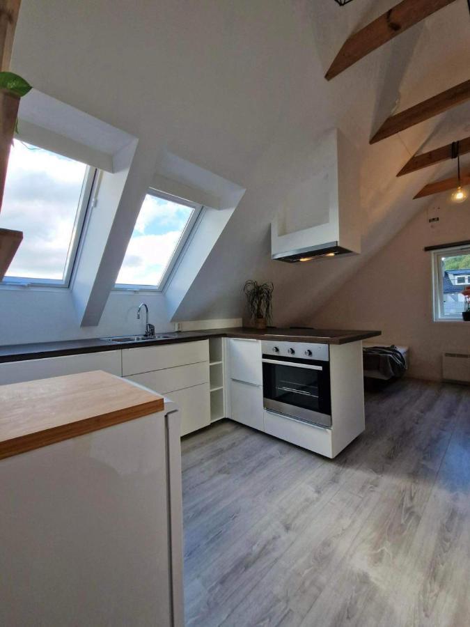 On The Footstep Of Mount Ulriken Apartment Bergen