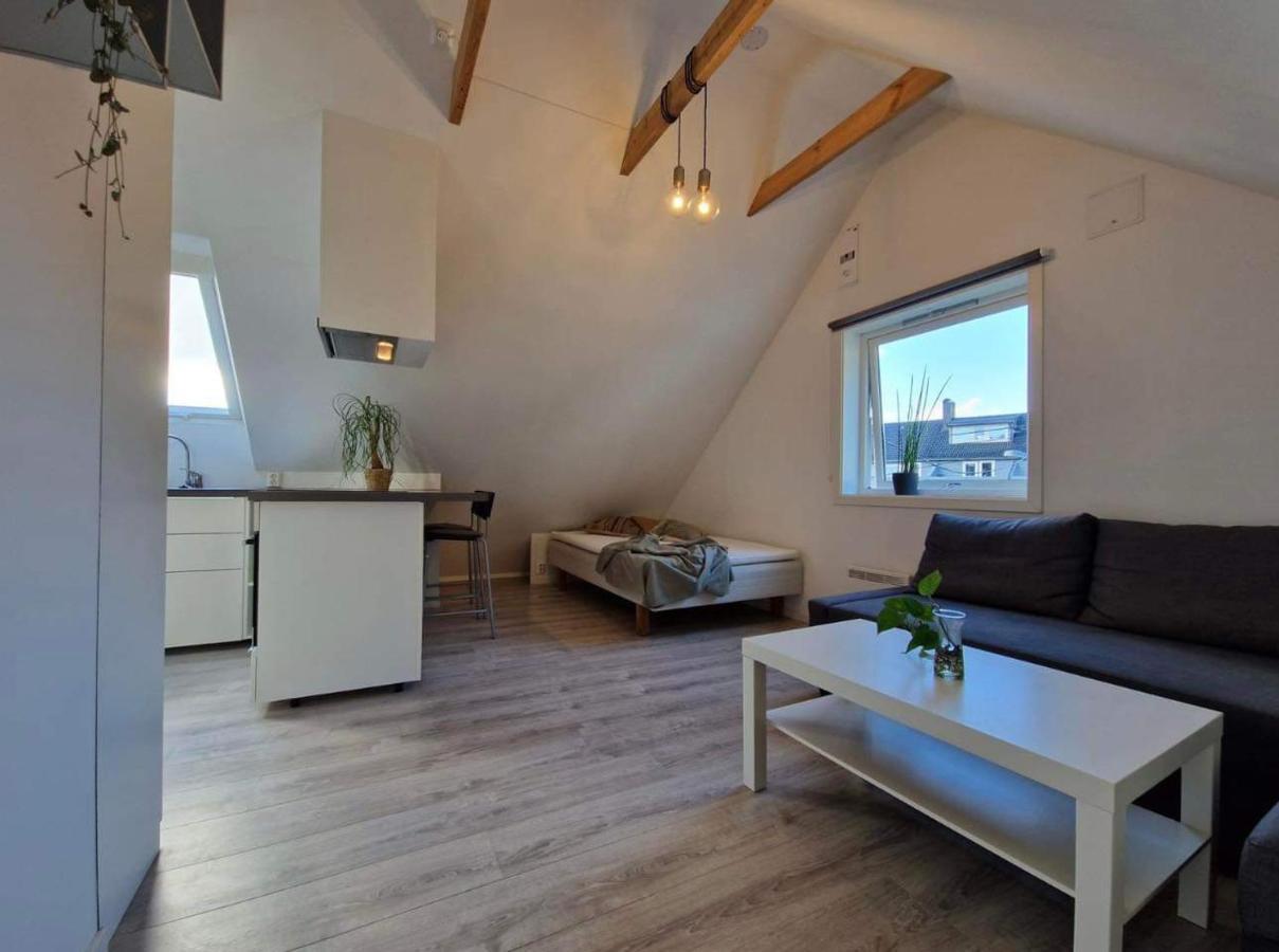 On The Footstep Of Mount Ulriken Apartment