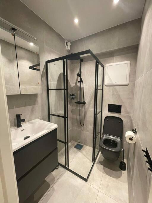 Newly Renovated Centrally Located In Apartment