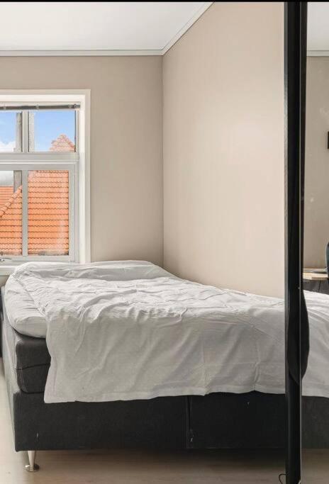 Apartment Newly Renovated Centrally Located In *