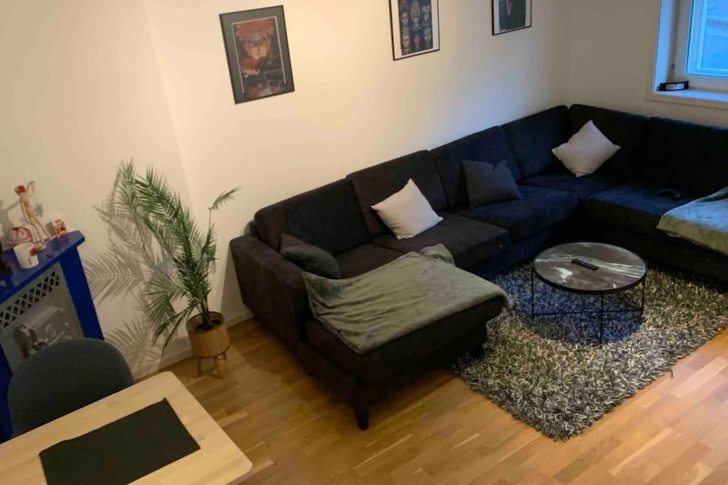 Super Cozy In The Heart Of *