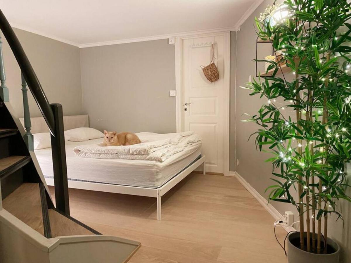 Dinbnb Homes I Cozy Cellar In Historical Cobblestone Street