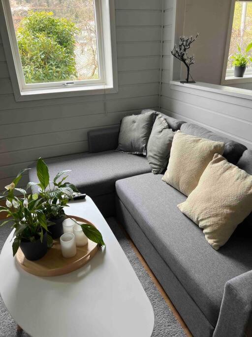Cosy With Free Parking * Bergen