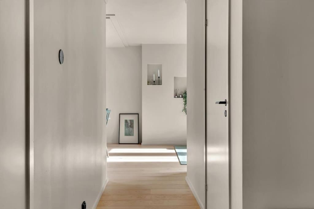 Apartment Luxurious Penthouse In The Middle Of City Center