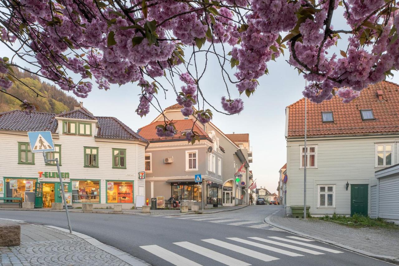 Behind Bryggen - Renovated - Budget Friendly Apartment Bergen