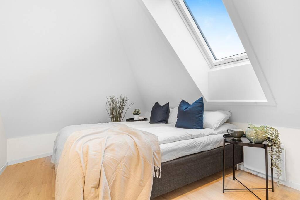 New! Huge Modern Apartment! Fit For Two Families! *