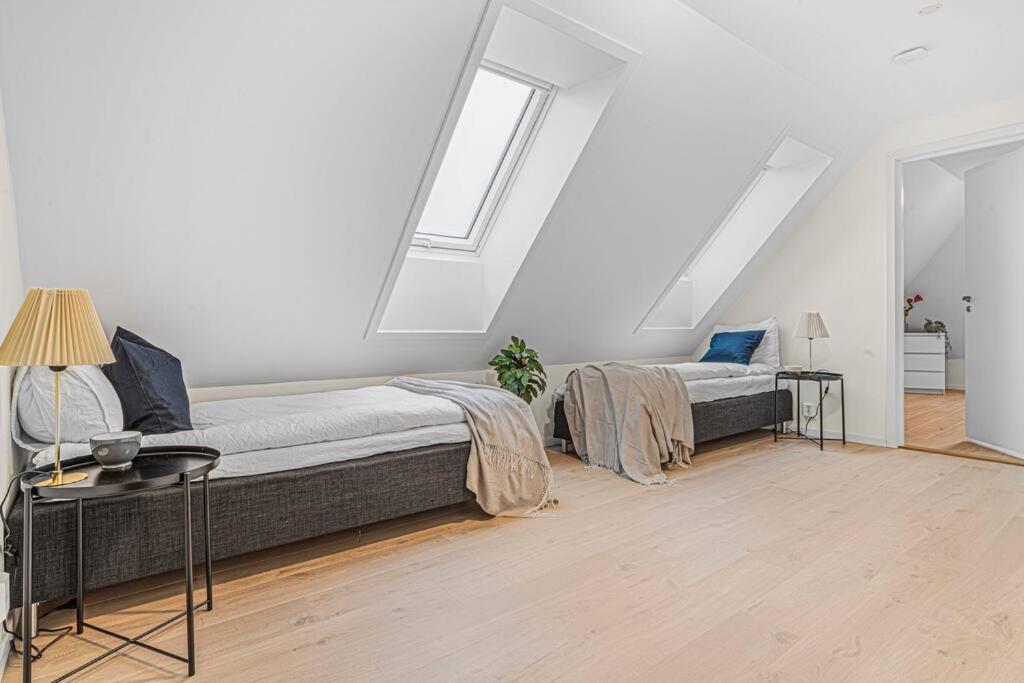 New! Huge Modern Apartment! Fit For Two Families! Bergen