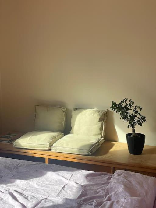 Spacious With View - 5br - Free Parking - Great Wi-fi