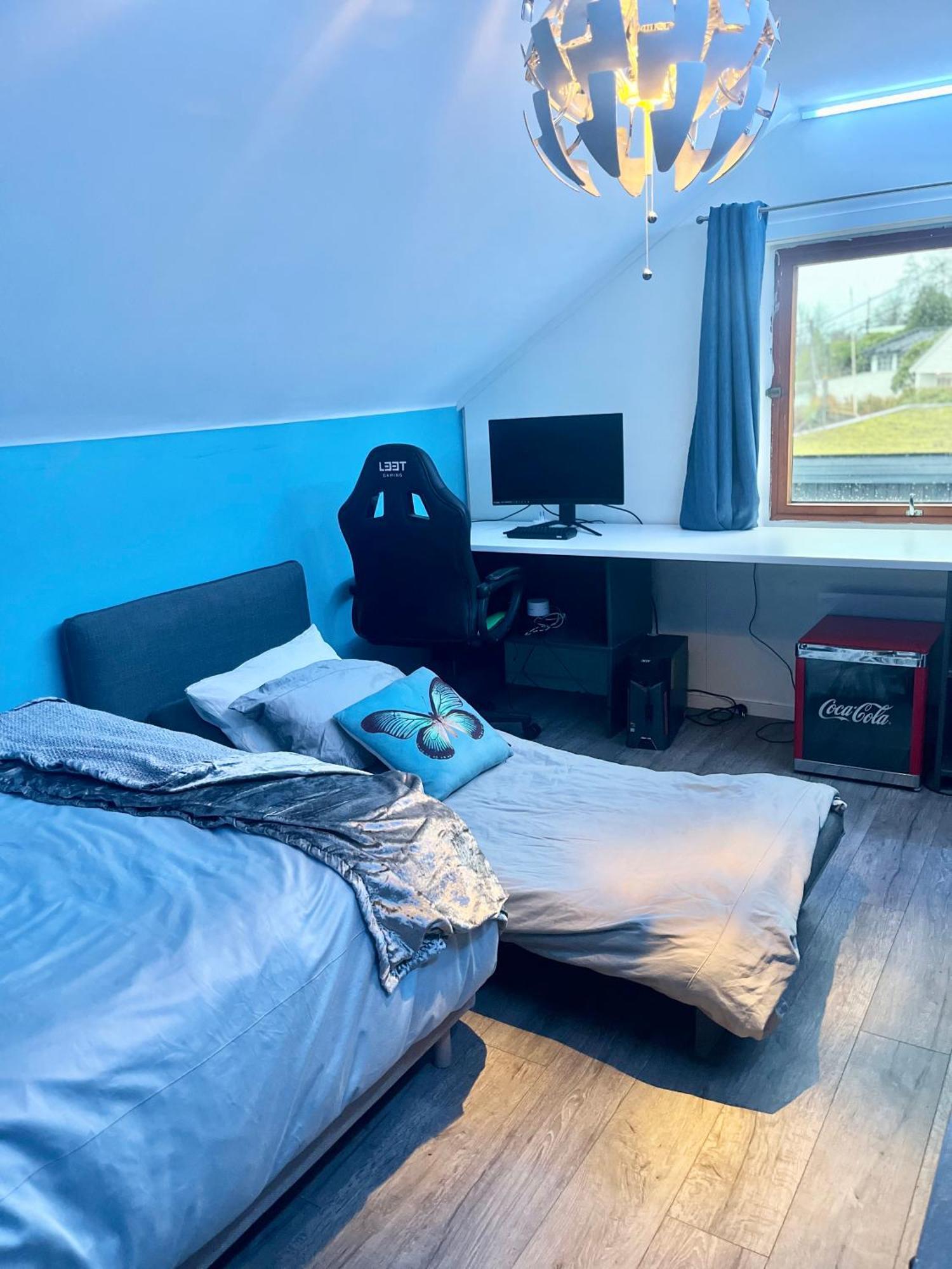Sentrumsnaer Enebolig Med Stor Hage, 100 M Fra Badestrand
