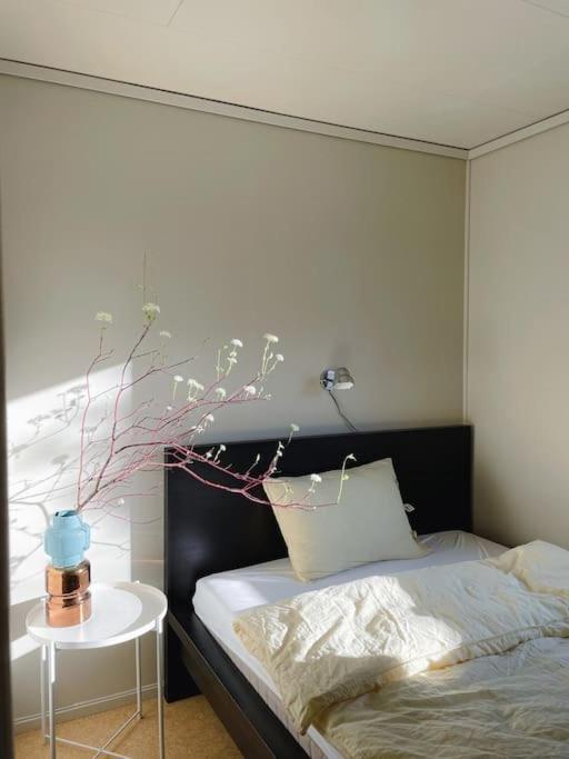 Spacious With View - 5br - Free Parking - Great Wi-fi