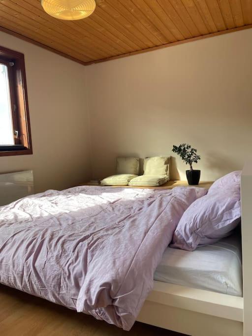 Spacious With View - 5br - Free Parking - Great Wi-fi *