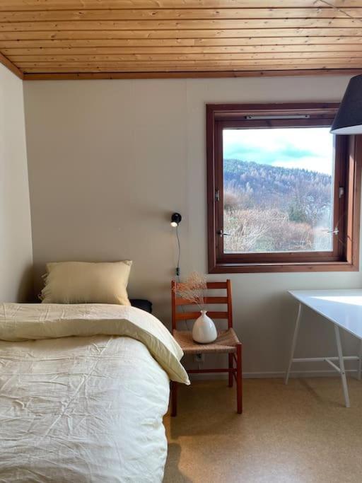 Spacious With View - 5br - Free Parking - Great Wi-fi *