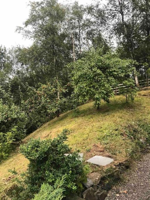 Spacious With View - 5br - Free Parking - Great Wi-fi * Bergen