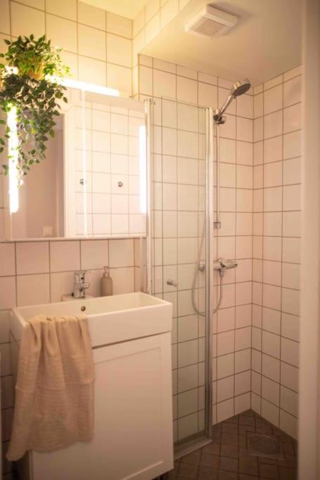 Bryggen/koengen Studio-apartment *