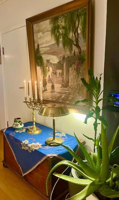 Villa Sentrumsnaer Enebolig Med Stor Hage, 100 M Fra Badestrand *
